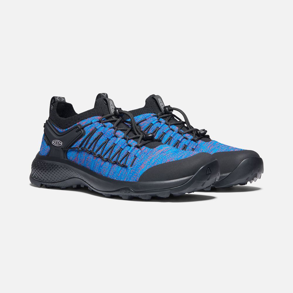 Baskets Keen Homme Bleu/Noir | Explore Uneek | MJLSZ-4538